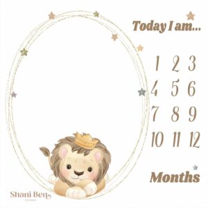 שמיכת חודשים דגם  My Lion Star