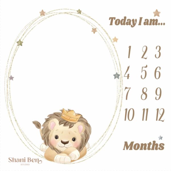 שמיכת חודשים דגם  My Lion Star